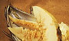�^�P�m�R�̒|�яĂ�